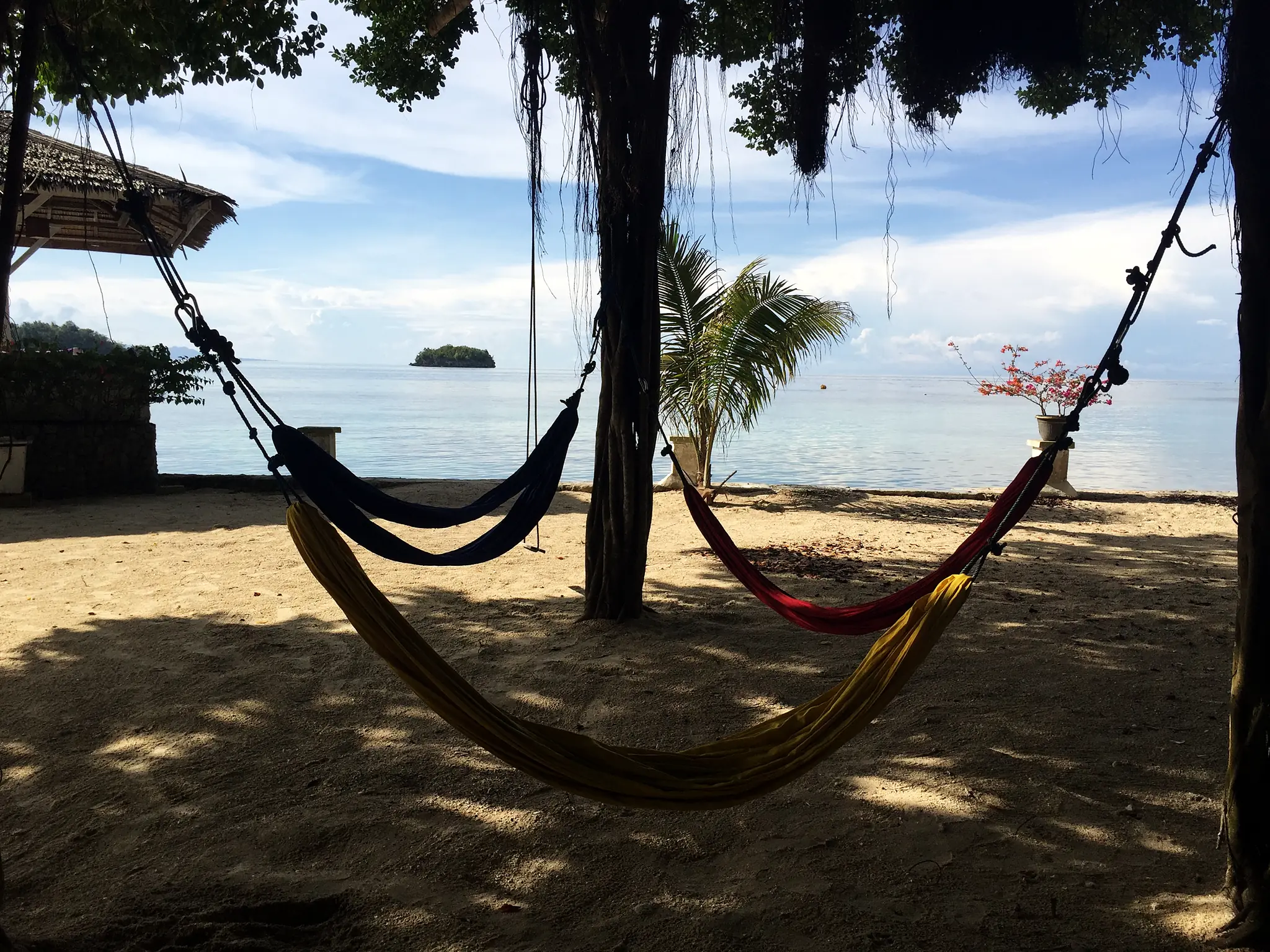 hammocks on the beach facing the sea