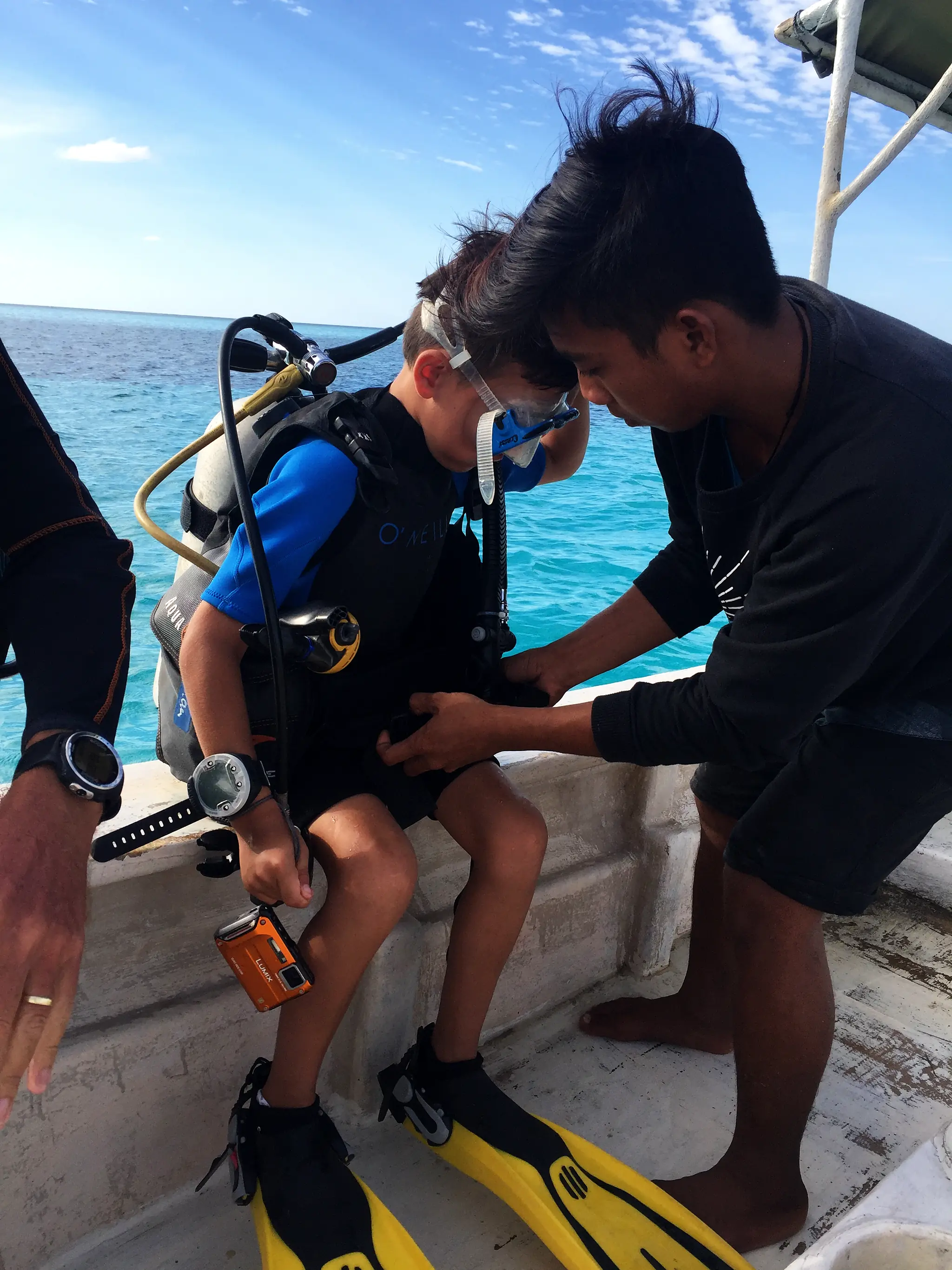 Learn to Dive
